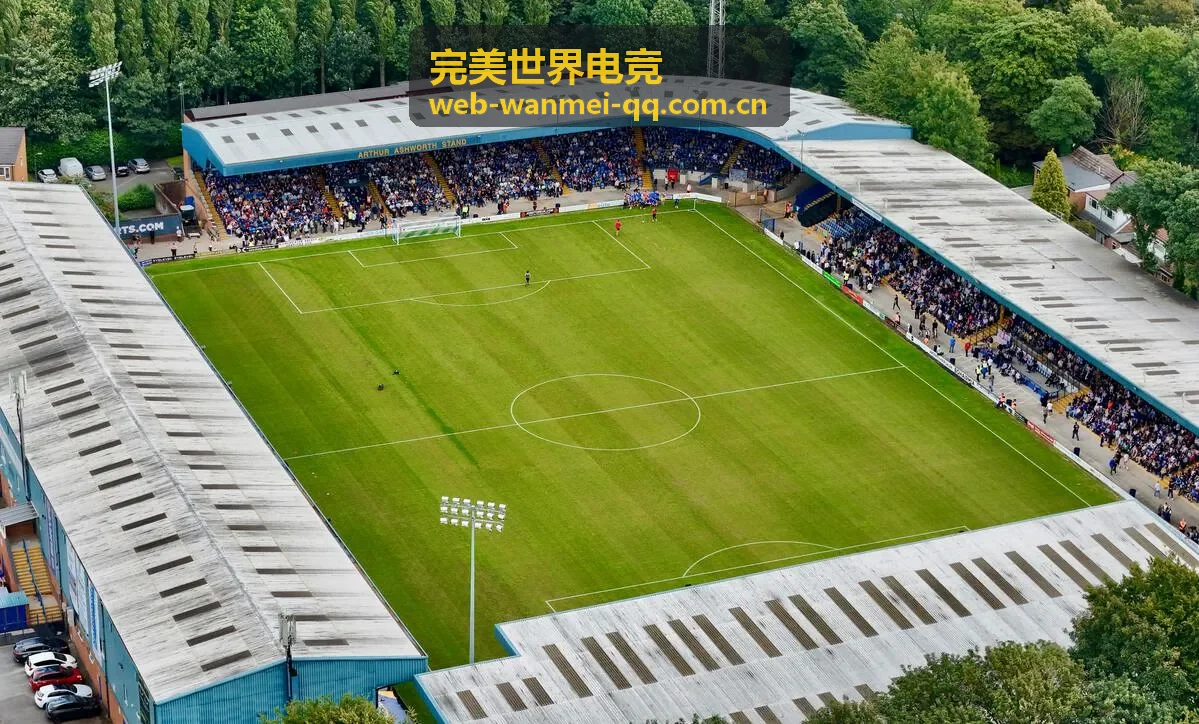 完美世界电竞选手头像图